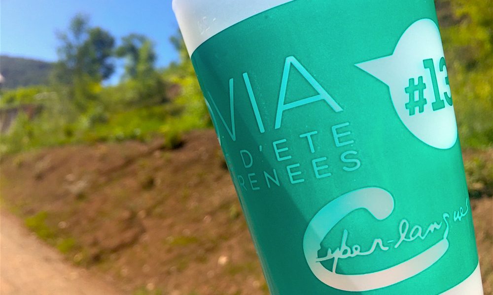 Synthèse des travaux de l’Université d’été Ludovia#13 sur EDUCATICE