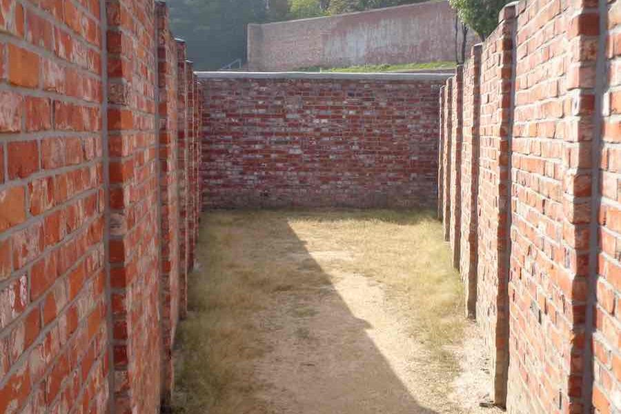 Décloisonner l’Ecole et la pensée des élèves pour enseigner et apprendre autrement
